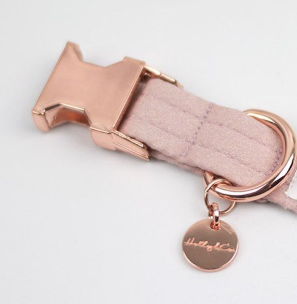 Spotlight Hosiery Elite Quality Ring Bearer/Junior Groomsmen Argyle Kids Socks